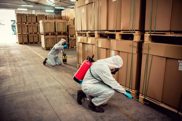 Best Ant Control Services  in Chieand, FL