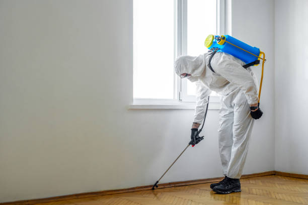 Reliable Chiefland, FL Pest Control Solutions