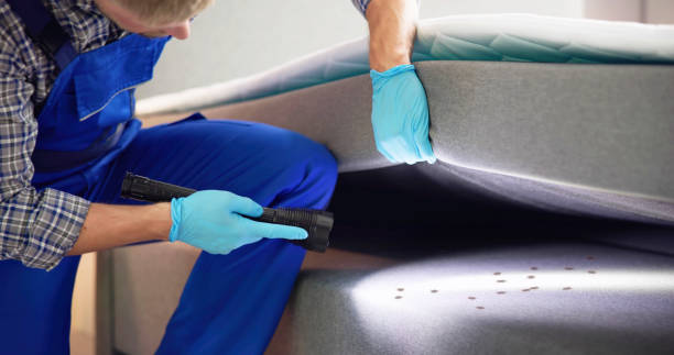 Best Best Pest Control Near Me  in Chieand, FL