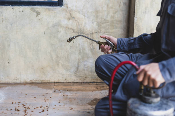 Best Pest Control Near Me  in Chieand, FL